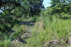 178. Tanah Pal Merah, Jambi Selatan-Irwan Awang (4)
