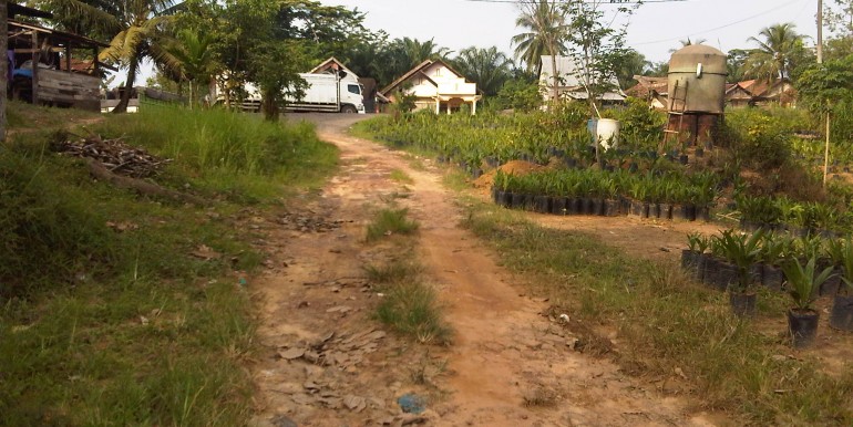 F B1- Tanah Kebun Bohok-Irwan Awang (3)