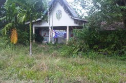 Taman Setiti Muaro Jambi_Irwan Awang (2)